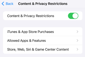 Store Web Siri and Game Center Content setting in Apple Screen Time.png