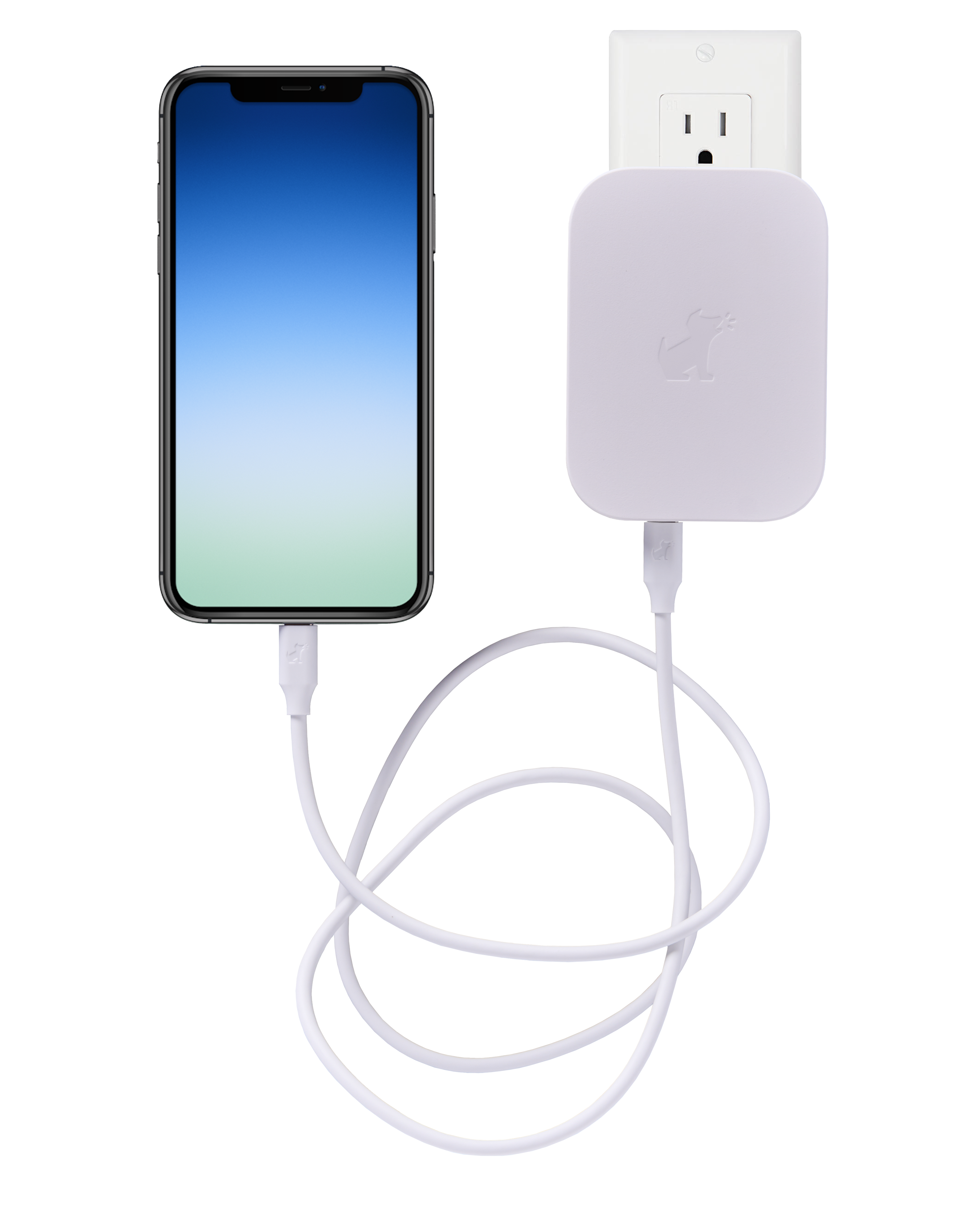 bark sync connected transparent.png